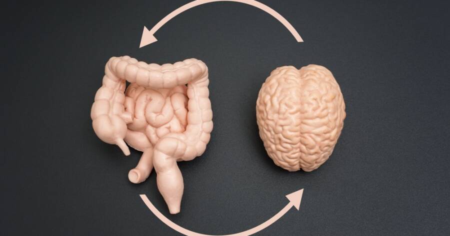 Probiotic Supplements: Top Benefits on Gut and Mental Health